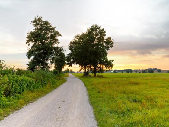 Barrierearmer Wanderweg in Schierling - Impression