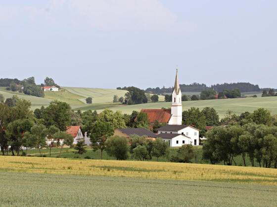 06 - Hanszell