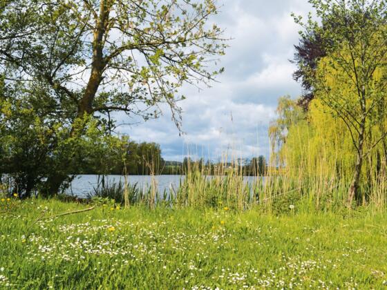 Walkweiher, Foto: Touristik Service Dinkelsbühl