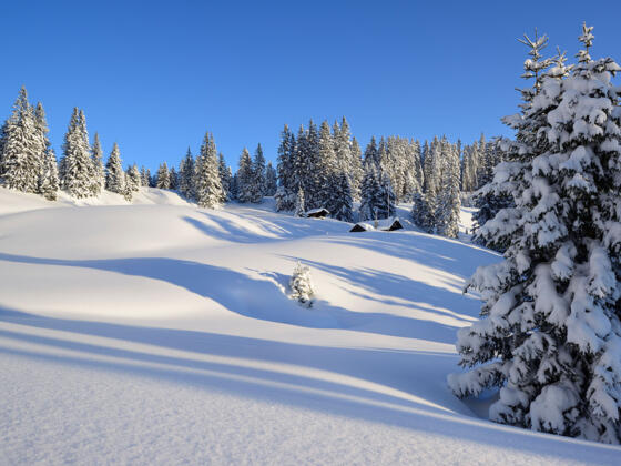 Verschneites Almgelände an der Kühalm