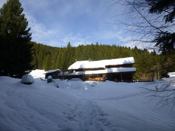 Bei der Gundhütte auf 1180 m