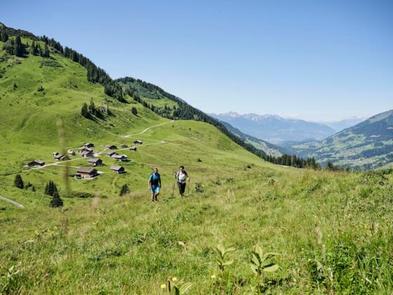 Sterisalpe