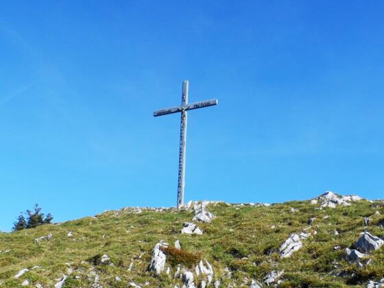 Der Streicher