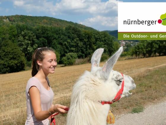 Lama Trekking im Nürnberger Land