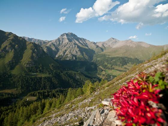 Blick ins Val Sinestra über Zuort