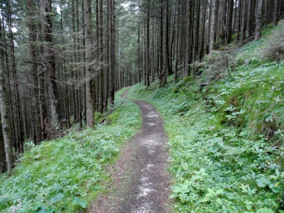 Der Schattseitweg