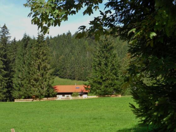 Kräuterwiesen-Alm
