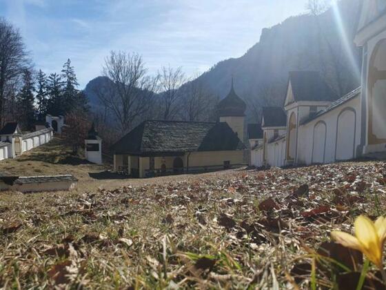 Blick auf das Naturdenkmal Biber in Brannenburg mit Kreuzweg