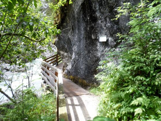 Naturlehrpfad im Zauberwald