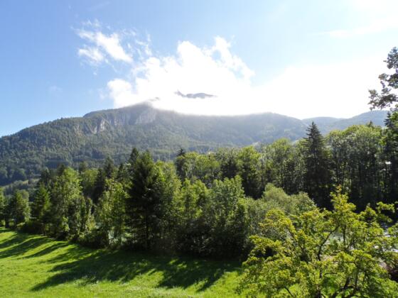 Blick auf den Predigstuhl