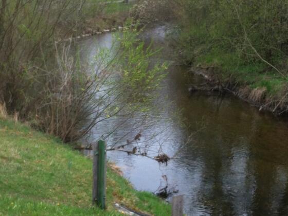 Die Eyach bei Kreilhof