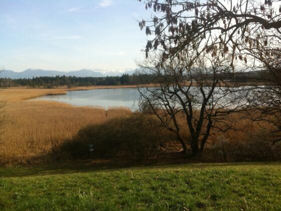 Aussicht auf den Gartensee