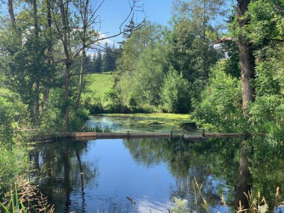 Der Zierteich neben dem Parkplatz am Anfang der Route