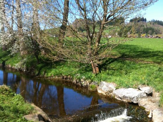 Die Peitnach in Peiting