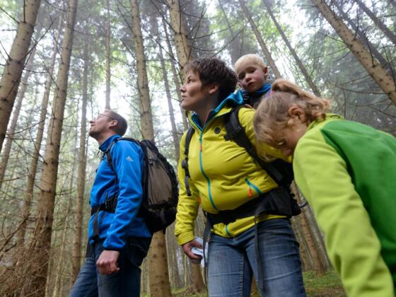 Wald- und Weiherschleife