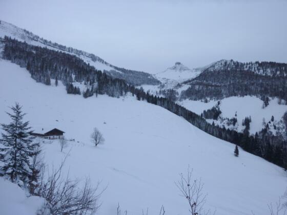 Nigelkaralm und Schmittenstein