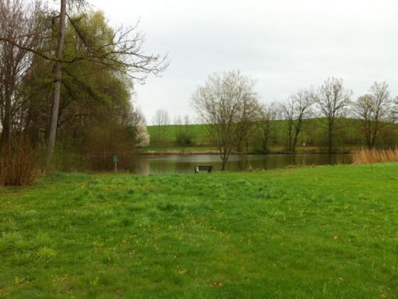 Der Streicherweiher beim Klosterdorf Polling