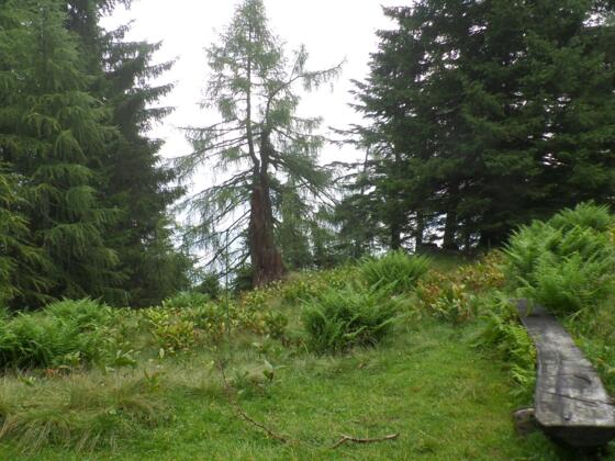 Naturschutzgebiet Tennengebirge