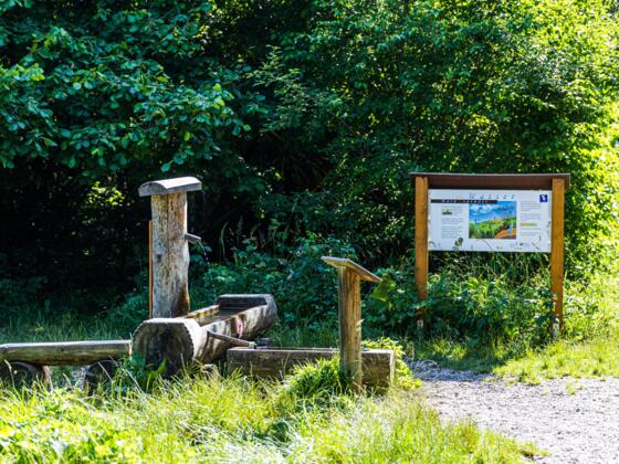 Wasserstation im Rothschwaiger Forst