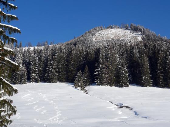 Ostgipfel von der Kreuzau 1062m gesehen