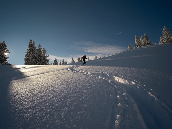 Aufstieg im lichten Hochwald bei Neuschnee.