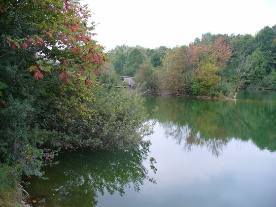 Weiher im Moos