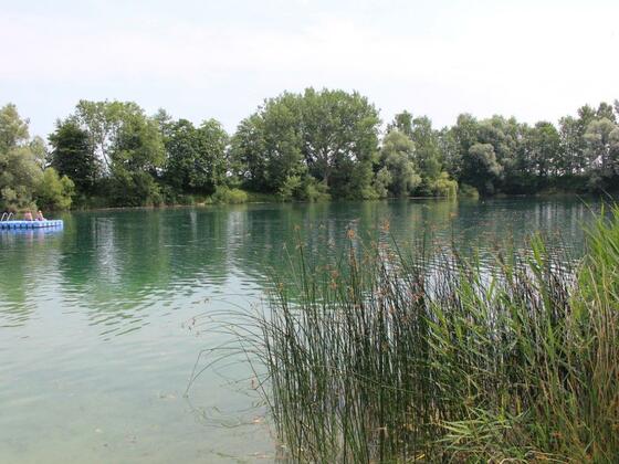 Langenpreisinger Weiher