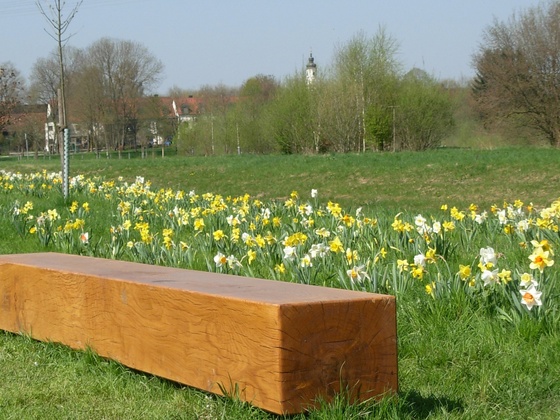 Isenauenpark Dorfen