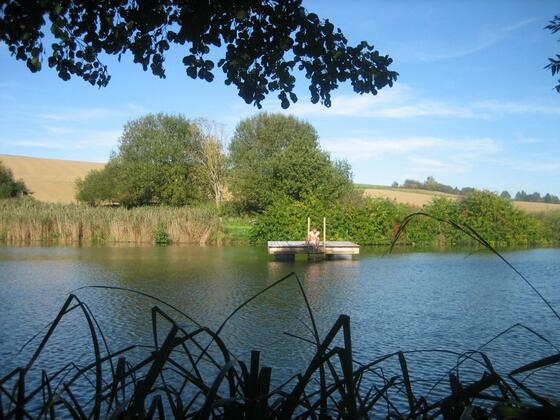 Lainer See