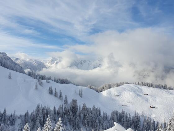 Winterbild_18