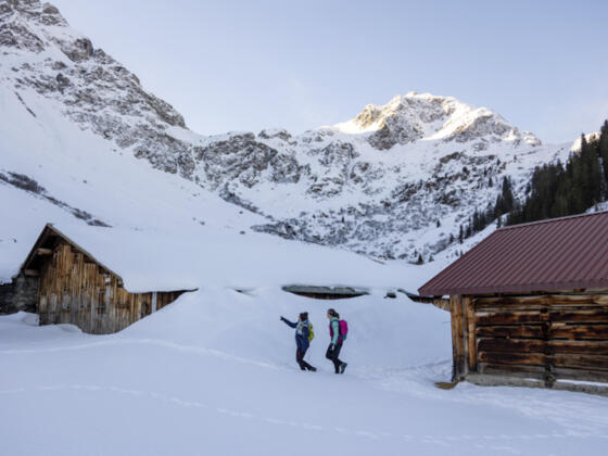 Innerkapellalpe