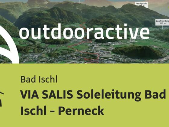 VIA SALIS Soleleitung Bad Ischl - Perneck
