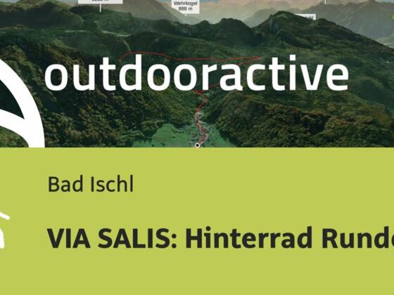 VIA SALIS: Hinterrad Runde