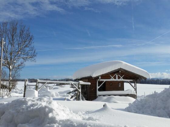 verschneites Gartenhaus