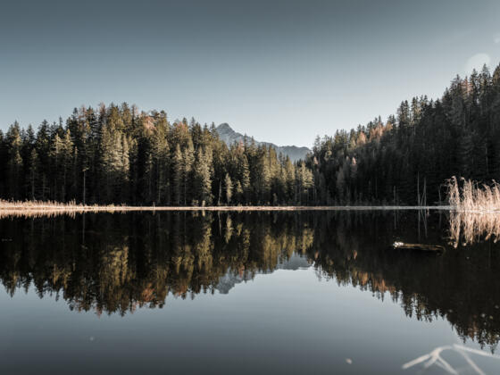 Amberger See