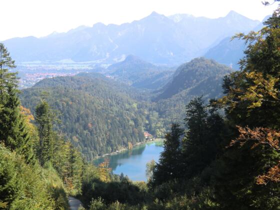 Blick auf den Weissensee unterhalb der Saloberalm