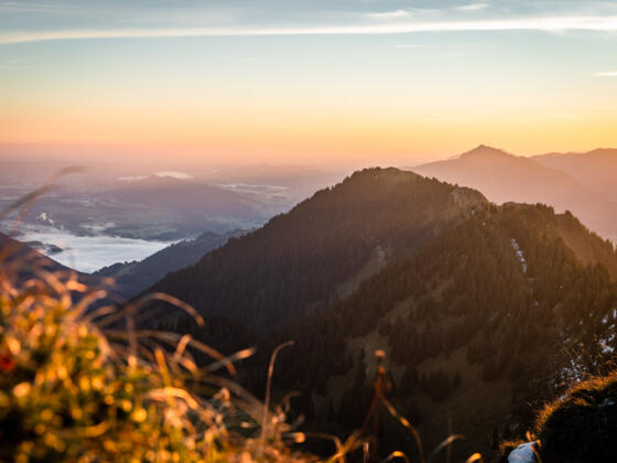 Blick vom Stuiben zum Steineberg, im Hintergrund der Grünten (mit Antenne).