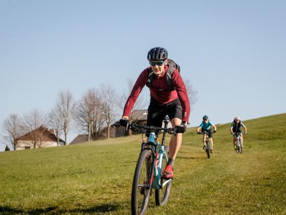 Mountainbiken in Altenfelden