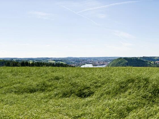 Freinberg