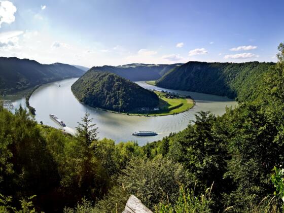 Schlögener Schlinge Panorama
