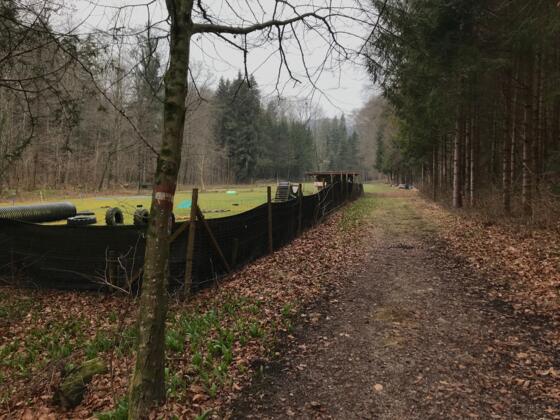 Trailrun - Ternberg - Bäckengraben