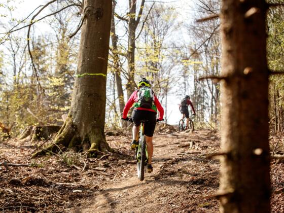 Mountainbiken im Mühlviertler Granitland