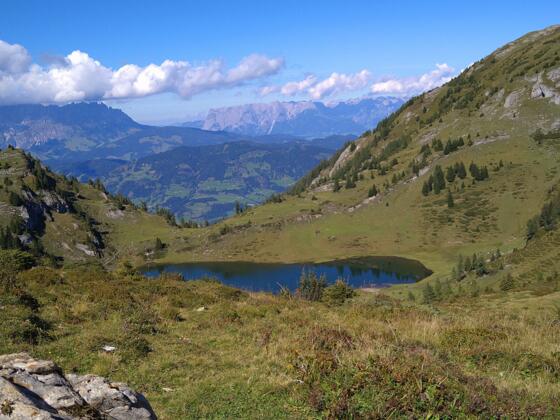 Paarseen
