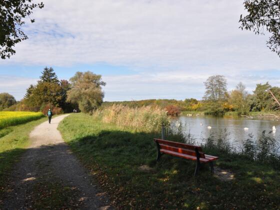 Wanderweg entlang der Amper in Schöngeising