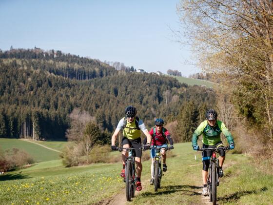 Mountainbiken im Mühlviertler Granitland