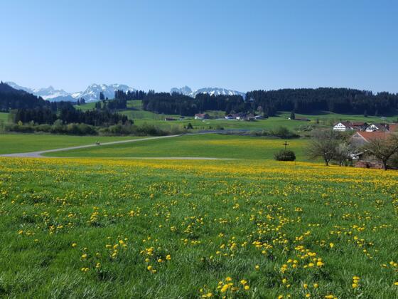 Allgäu