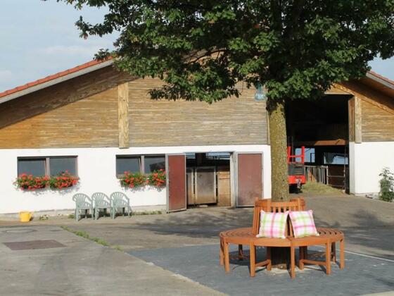 Auf der Baumbank vorm Kuhstall verweilen