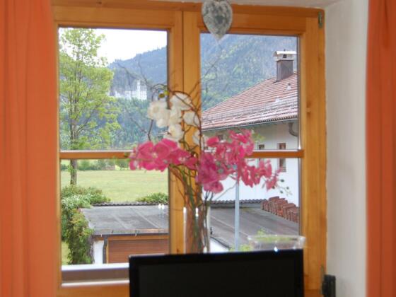 Blick auf Neuschwanstein