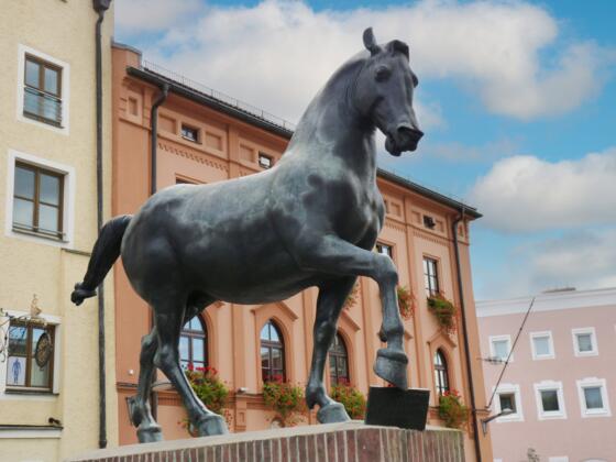 Pfarrkirchen Wimmer Roß