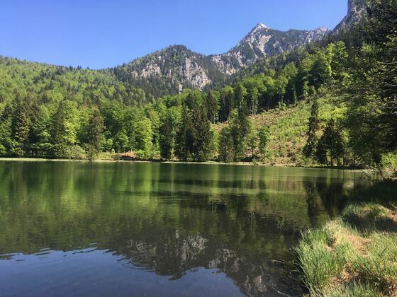 Frillensee